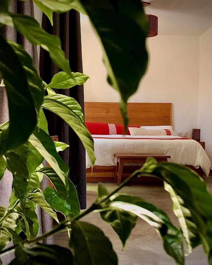 Casa Cafeologo Hotel ซานกริสโตบัล เด ลาสกาซาส ภายนอก รูปภาพ