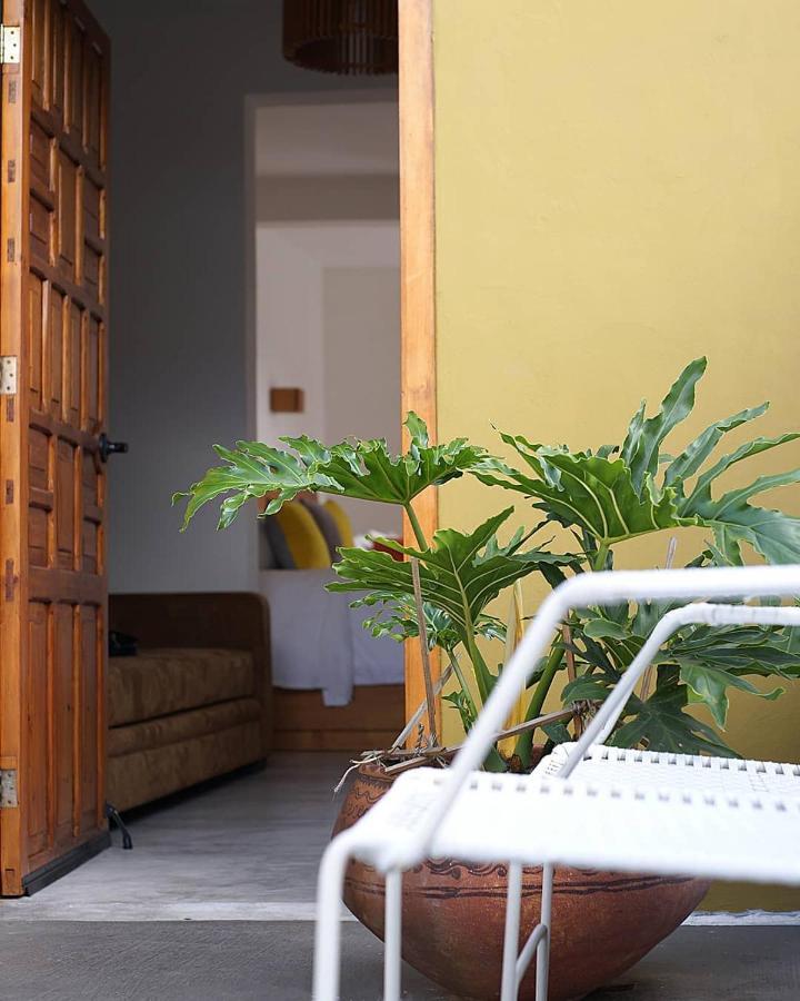 Casa Cafeologo Hotel ซานกริสโตบัล เด ลาสกาซาส ภายนอก รูปภาพ